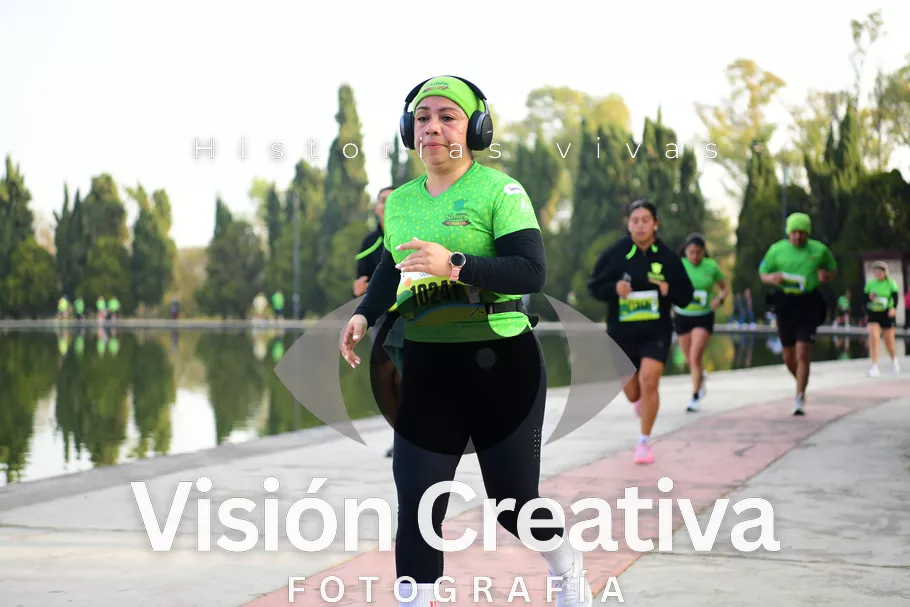 Foto del evento Shrek - CDMX 2026
