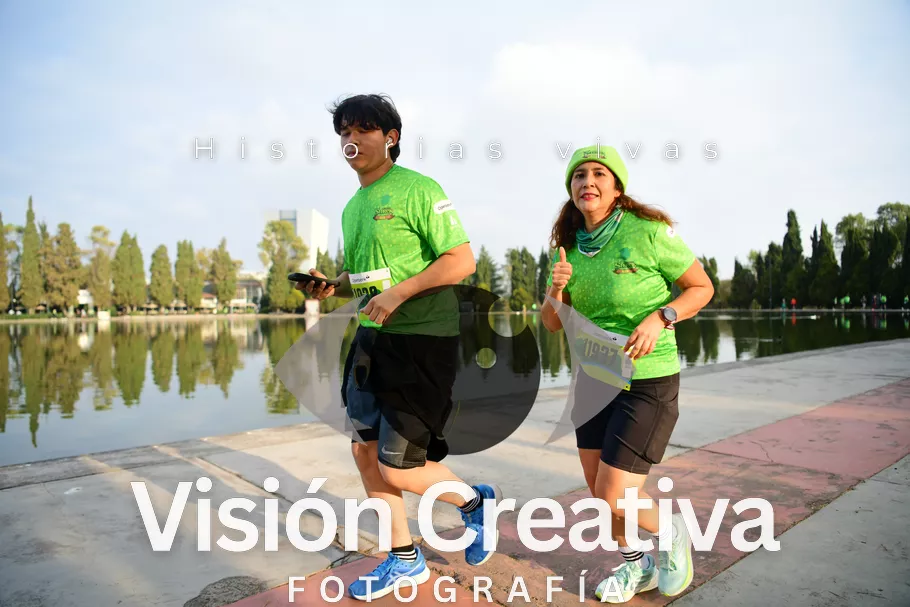 Foto del evento Shrek - CDMX 2026