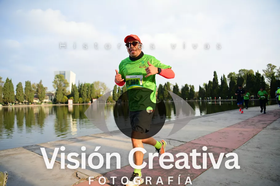 Foto del evento Shrek - CDMX 2026