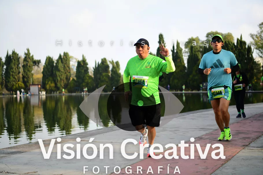 Foto del evento Shrek - CDMX 2026