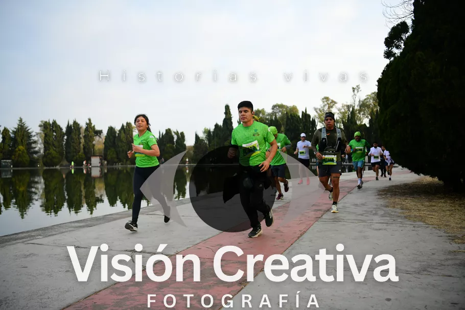 Foto del evento Shrek - CDMX 2026
