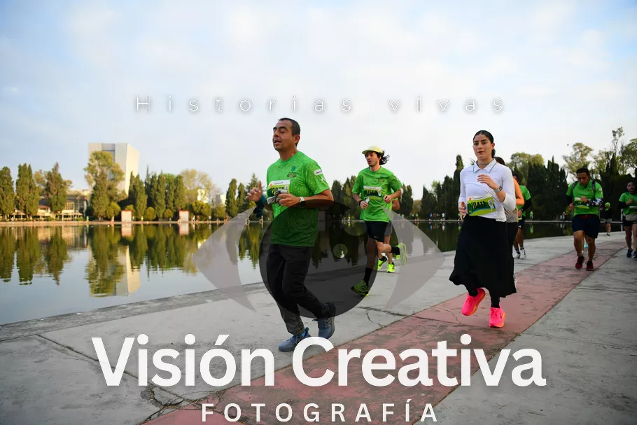 Foto del evento Shrek - CDMX 2026