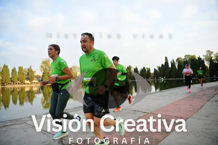Foto del evento Shrek - CDMX 2026