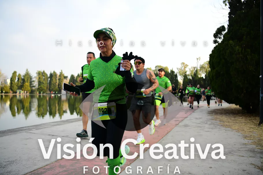 Foto del evento Shrek - CDMX 2026