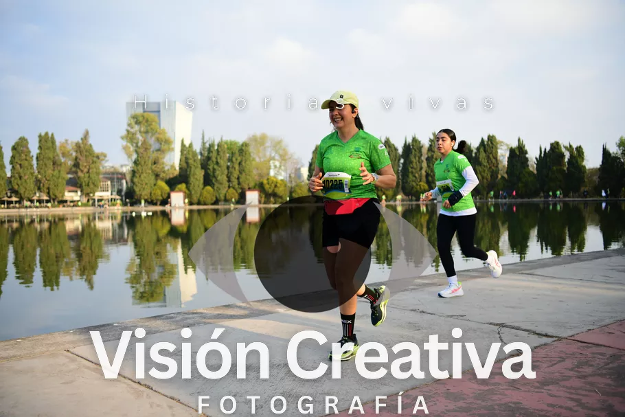 Foto del evento Shrek - CDMX 2026