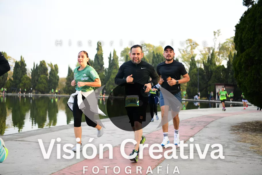 Foto del evento Shrek - CDMX 2026