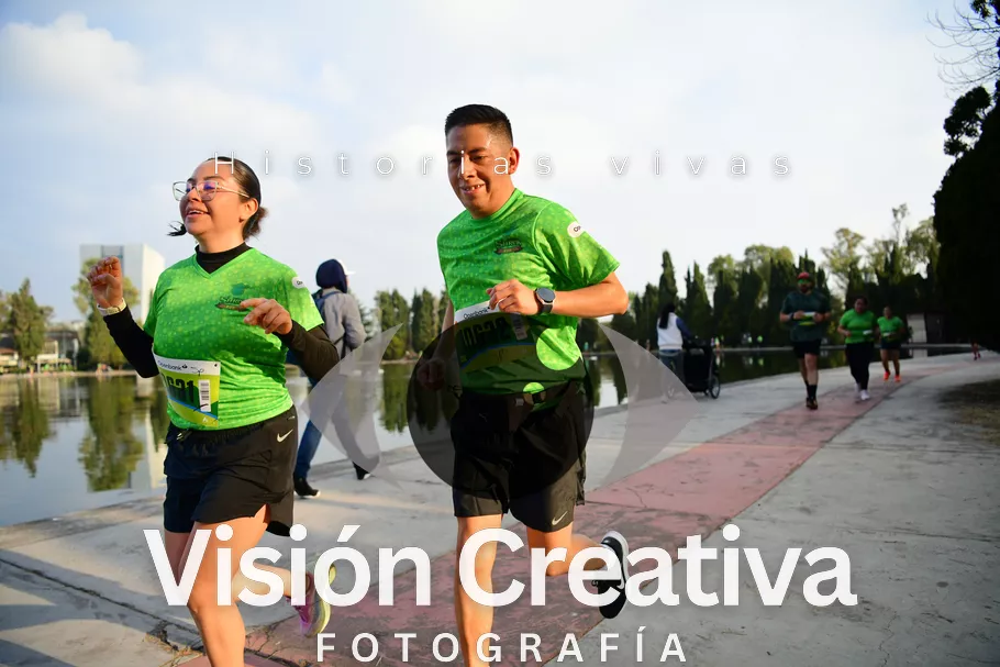 Foto del evento Shrek - CDMX 2026