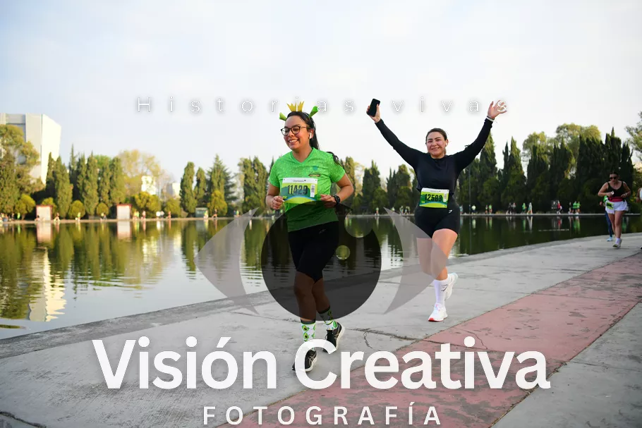 Foto del evento Shrek - CDMX 2026