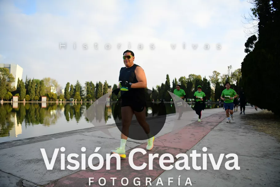 Foto del evento Shrek - CDMX 2026