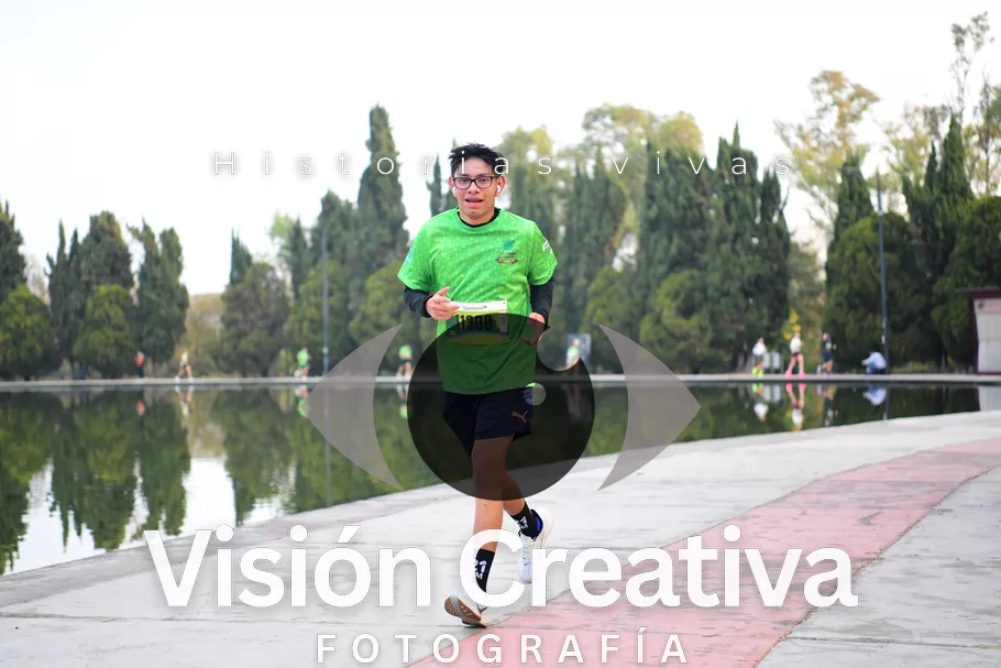 Foto del evento Shrek - CDMX 2026