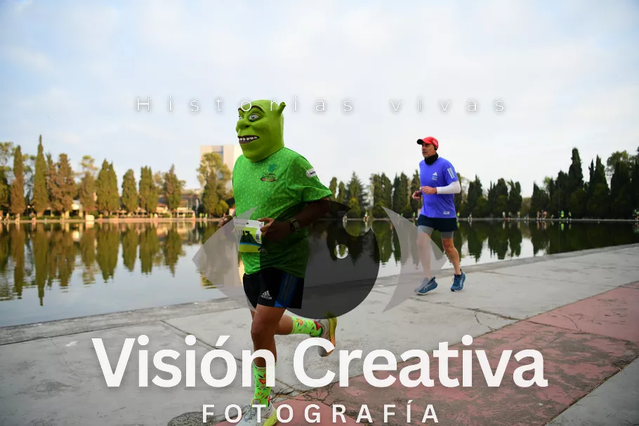 Foto del evento Shrek - CDMX 2026