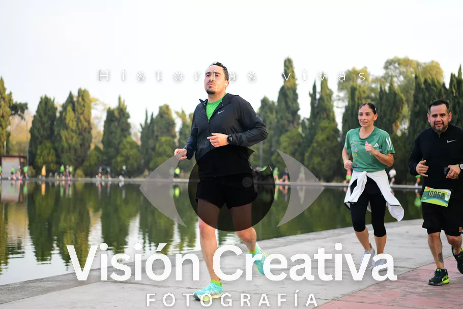 Foto del evento Shrek - CDMX 2026