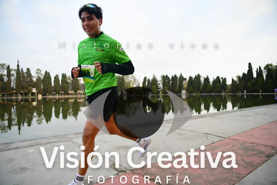 Foto del evento Shrek - CDMX 2026
