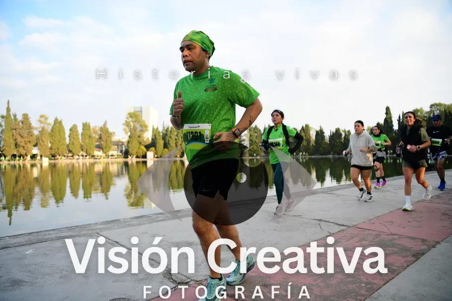 Foto del evento Shrek - CDMX 2026