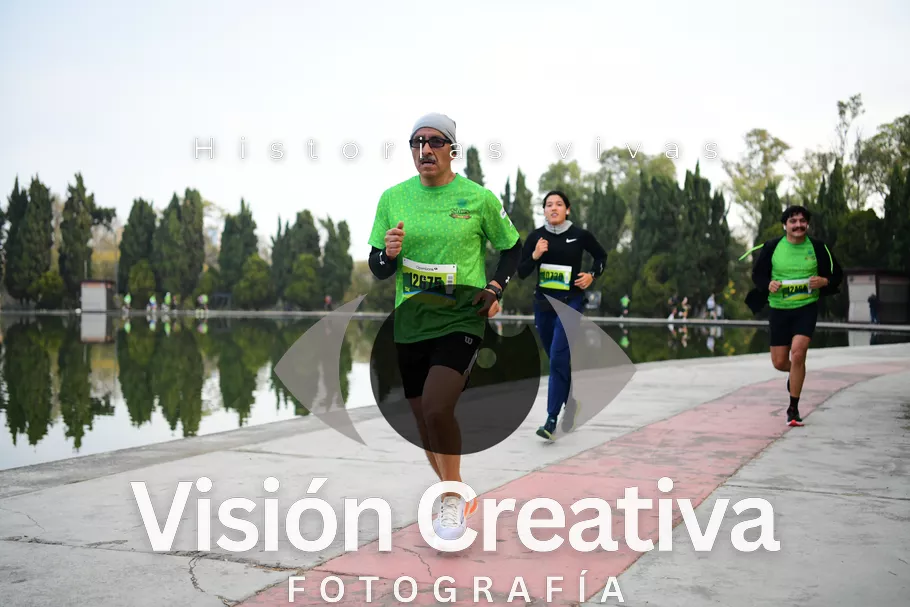 Foto del evento Shrek - CDMX 2026