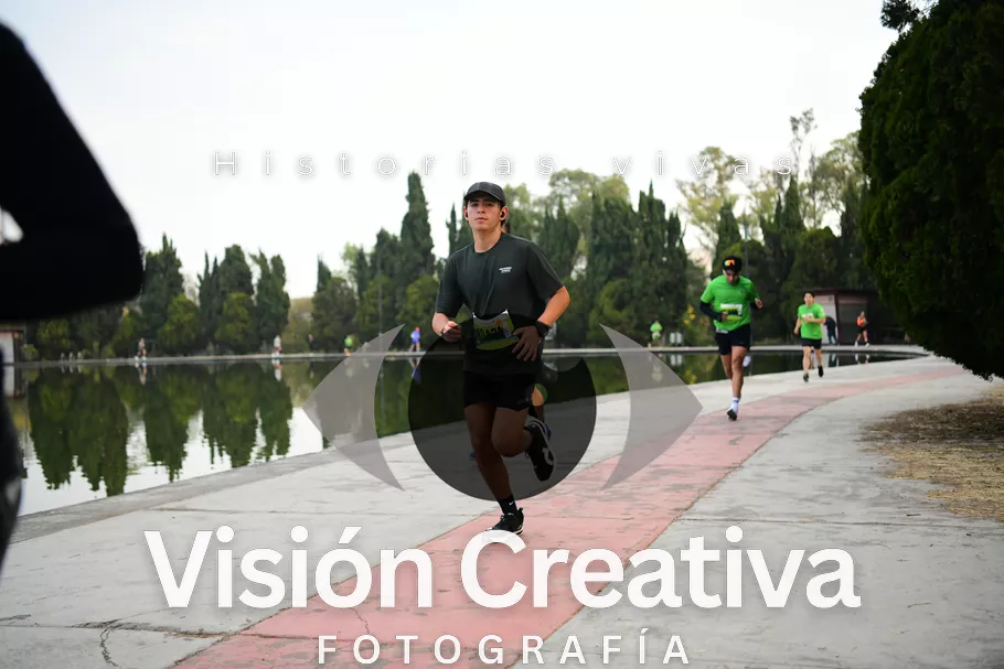 Foto del evento Shrek - CDMX 2026