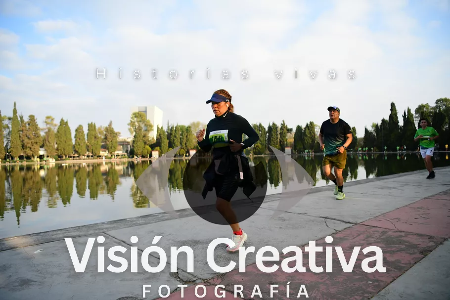 Foto del evento Shrek - CDMX 2026