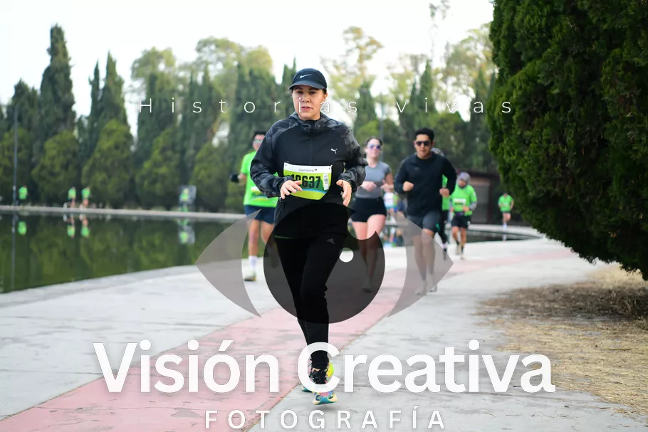 Foto del evento Shrek - CDMX 2026