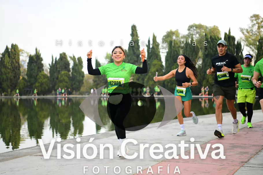 Foto del evento Shrek - CDMX 2026