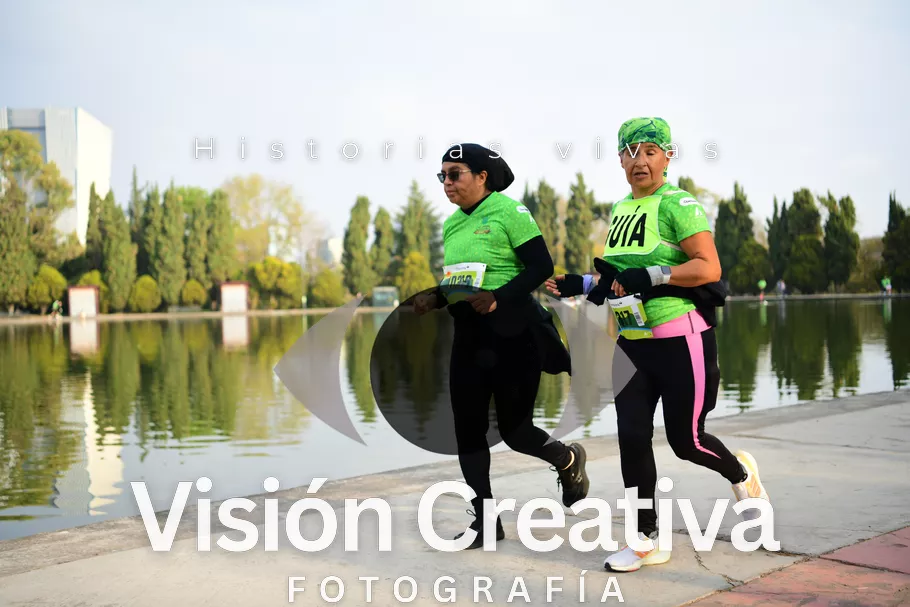 Foto del evento Shrek - CDMX 2026