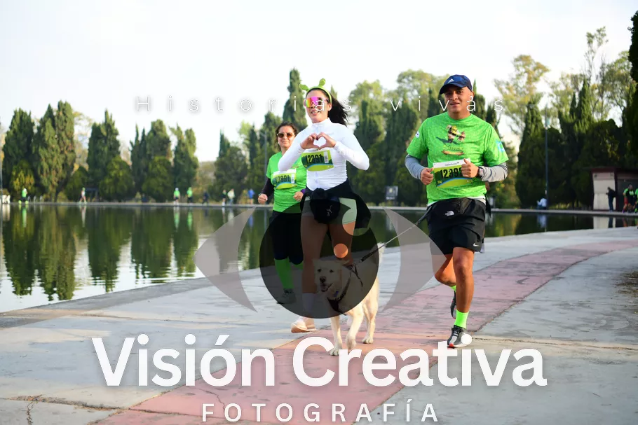 Foto del evento Shrek - CDMX 2026