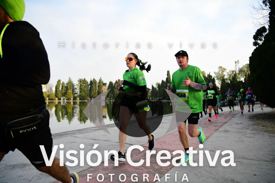 Foto del evento Shrek - CDMX 2026