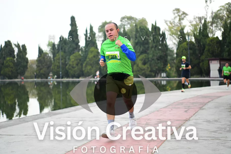 Foto del evento Shrek - CDMX 2026