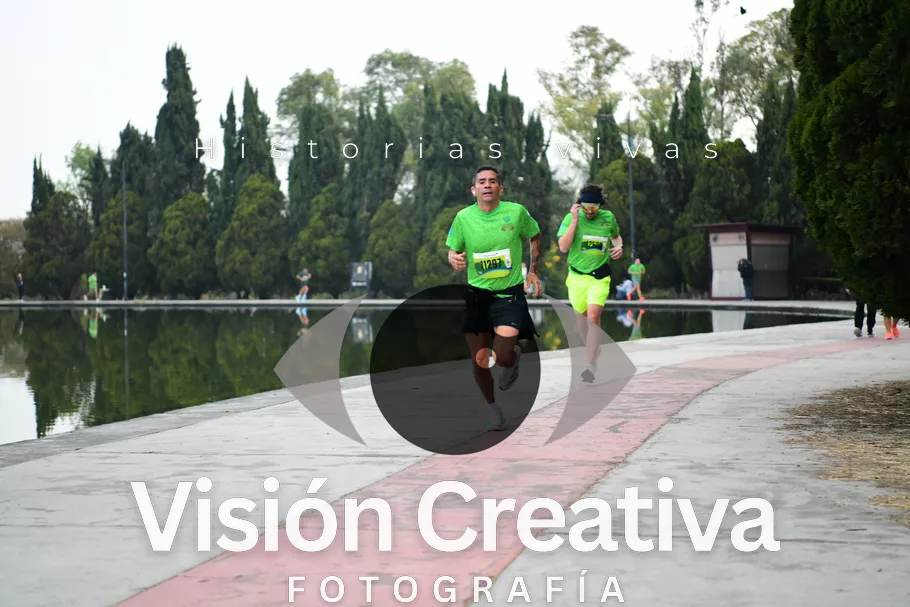 Foto del evento Shrek - CDMX 2026