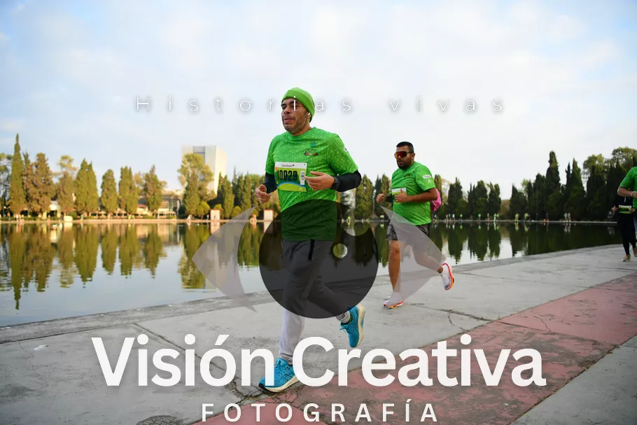 Foto del evento Shrek - CDMX 2026