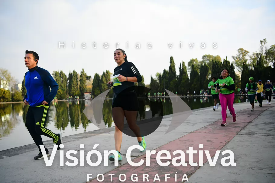 Foto del evento Shrek - CDMX 2026