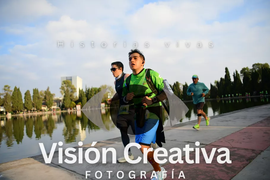 Foto del evento Shrek - CDMX 2026