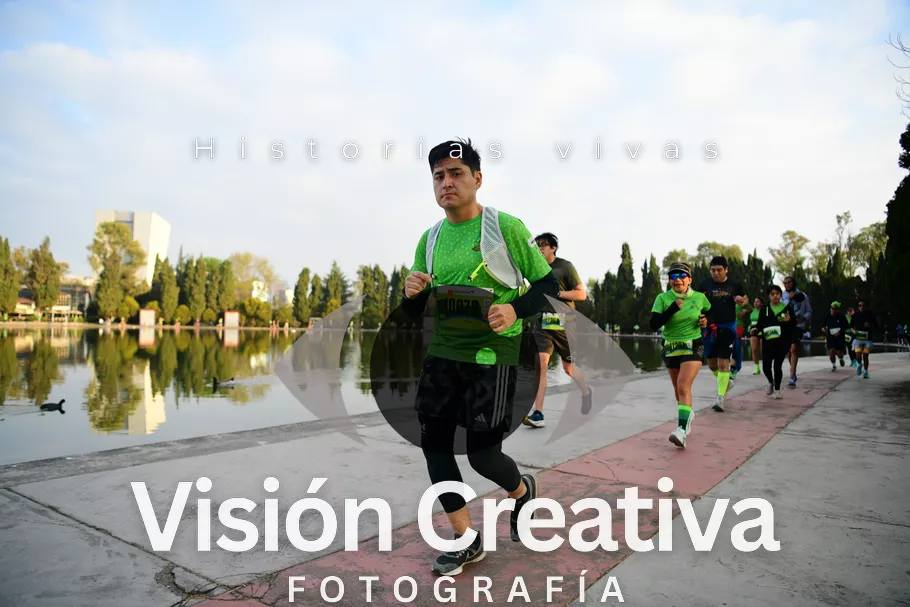 Foto del evento Shrek - CDMX 2026
