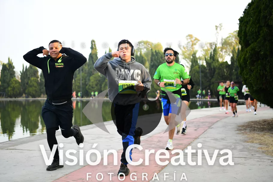 Foto del evento Shrek - CDMX 2026