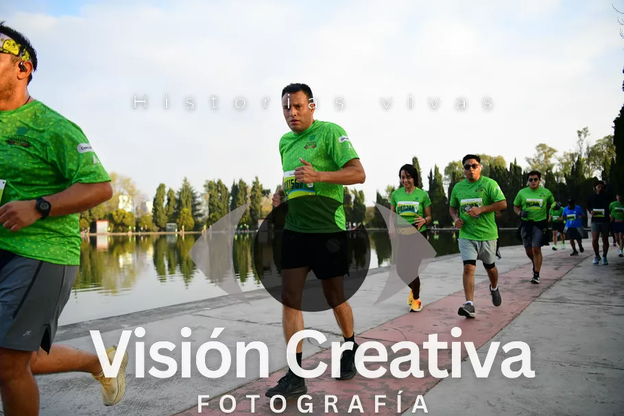 Foto del evento Shrek - CDMX 2026