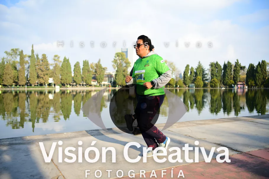 Foto del evento Shrek - CDMX 2026