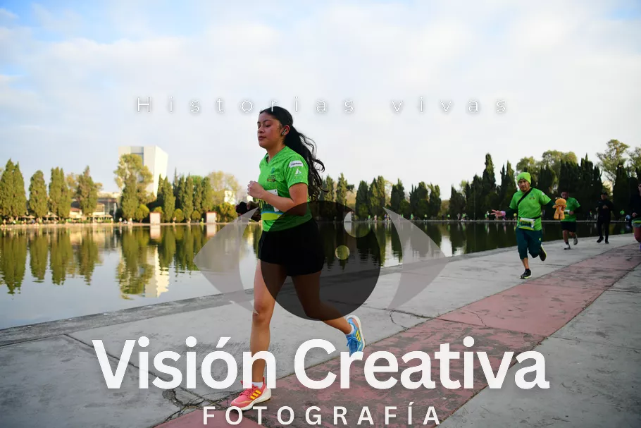 Foto del evento Shrek - CDMX 2026