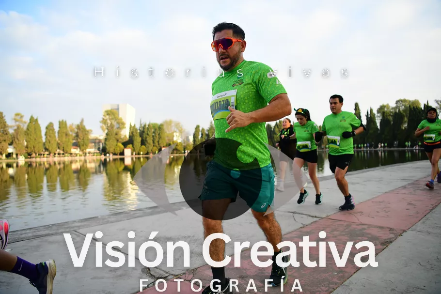 Foto del evento Shrek - CDMX 2026