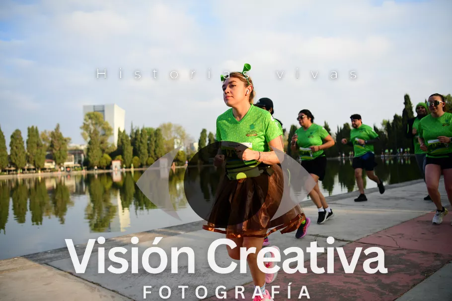 Foto del evento Shrek - CDMX 2026
