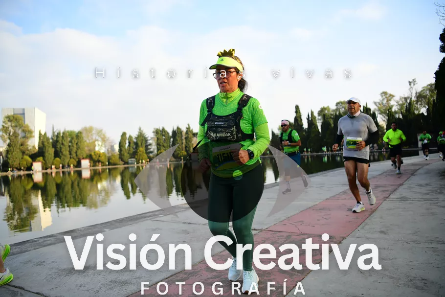 Foto del evento Shrek - CDMX 2026