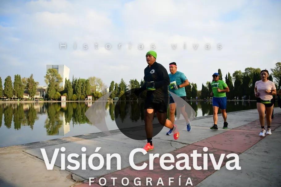 Foto del evento Shrek - CDMX 2026