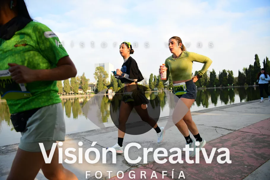 Foto del evento Shrek - CDMX 2026