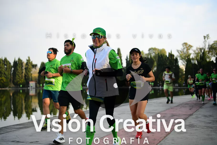 Foto del evento Shrek - CDMX 2026