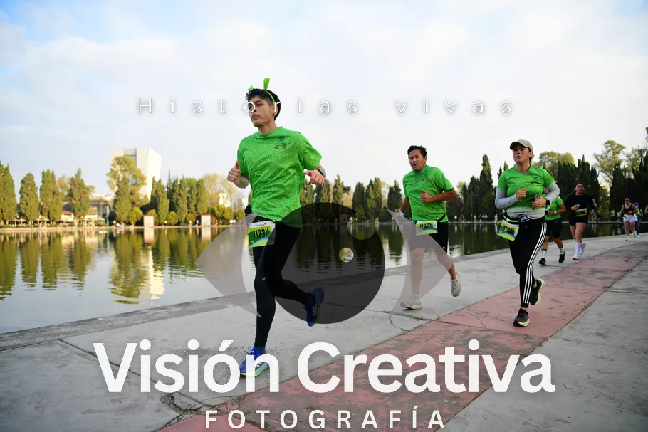 Foto del evento Shrek - CDMX 2026