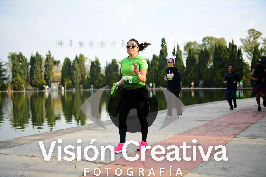Foto del evento Shrek - CDMX 2026