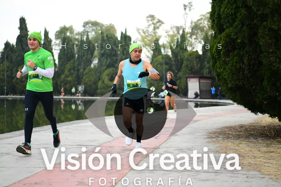 Foto del evento Shrek - CDMX 2026