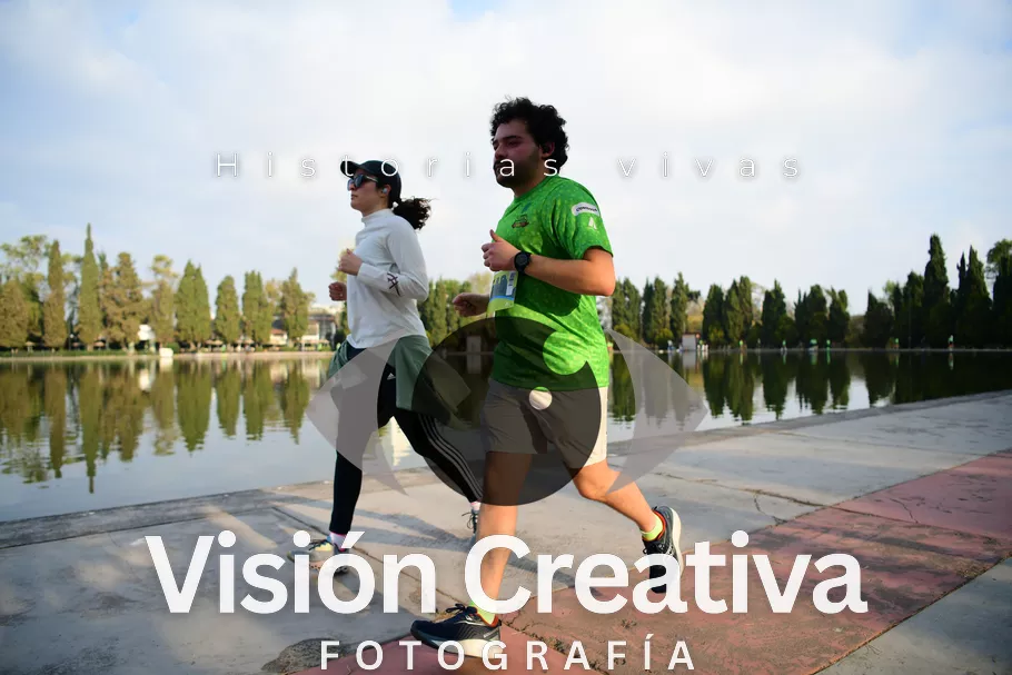 Foto del evento Shrek - CDMX 2026