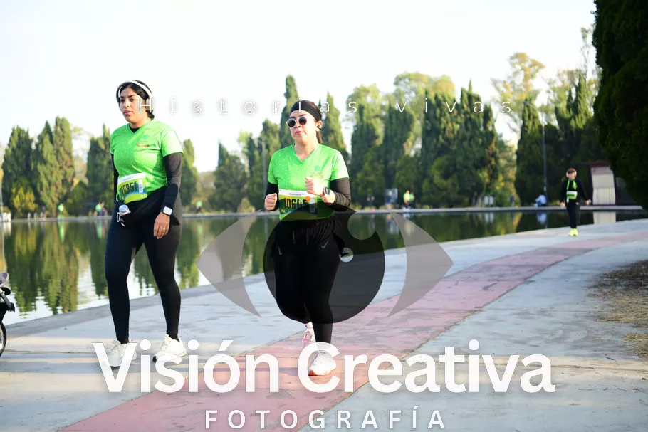 Foto del evento Shrek - CDMX 2026