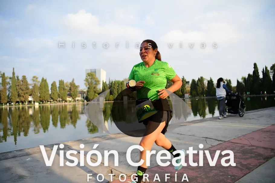 Foto del evento Shrek - CDMX 2026