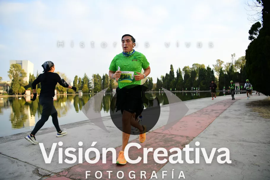 Foto del evento Shrek - CDMX 2026