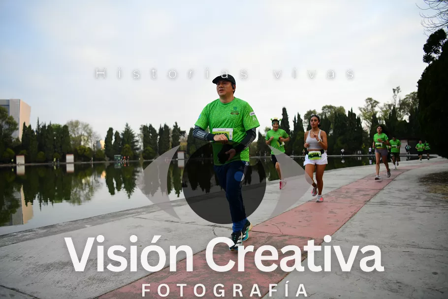 Foto del evento Shrek - CDMX 2026